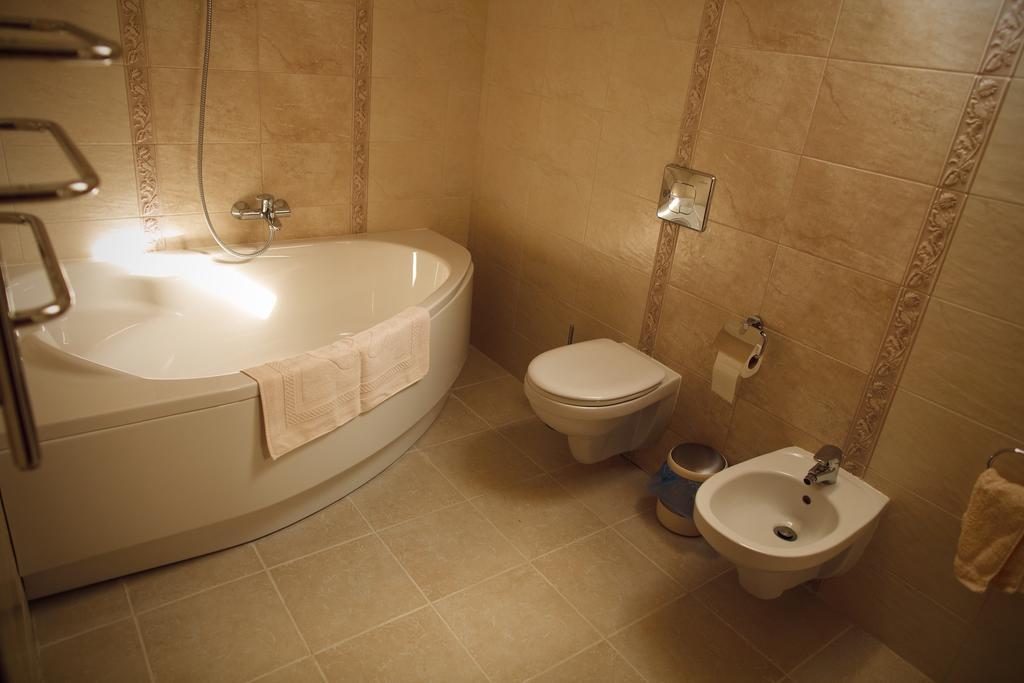 Hotel Oasis Karpat 3*